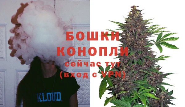 Альфа ПВП Бородино