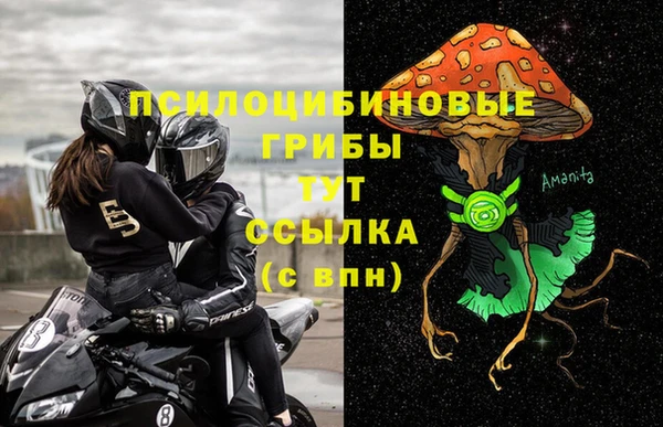 Альфа ПВП Бородино