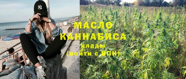Альфа ПВП Бородино