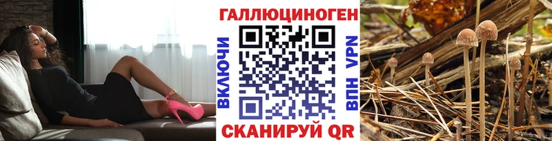 Псилоцибиновые грибы Psilocybe  OMG вход  Катайск 